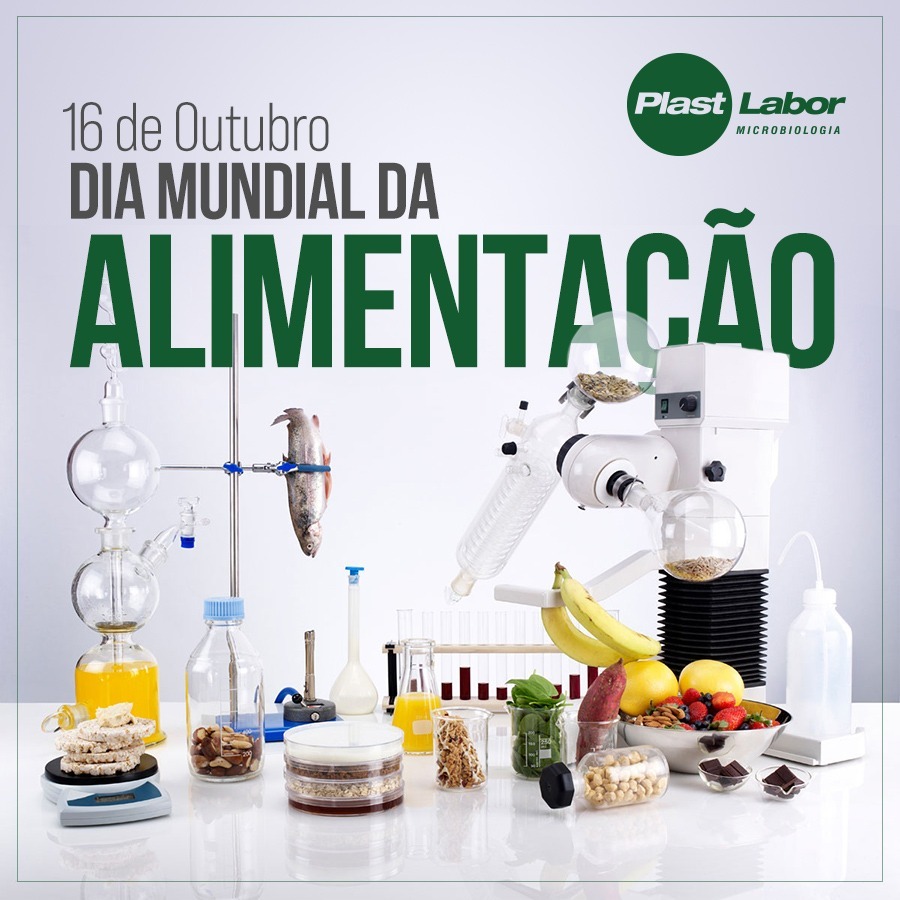 Dia mundial da alimentação